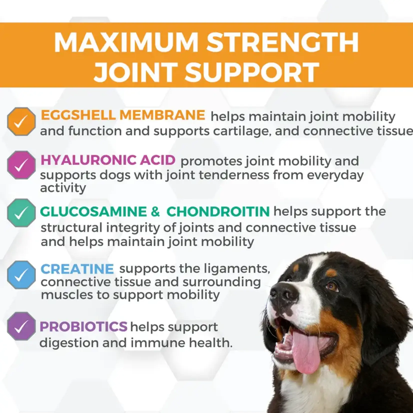 Nootie Nootie ProgilityMax Hip & Joint Soft Chew Supplement for Large Dogs 60ct