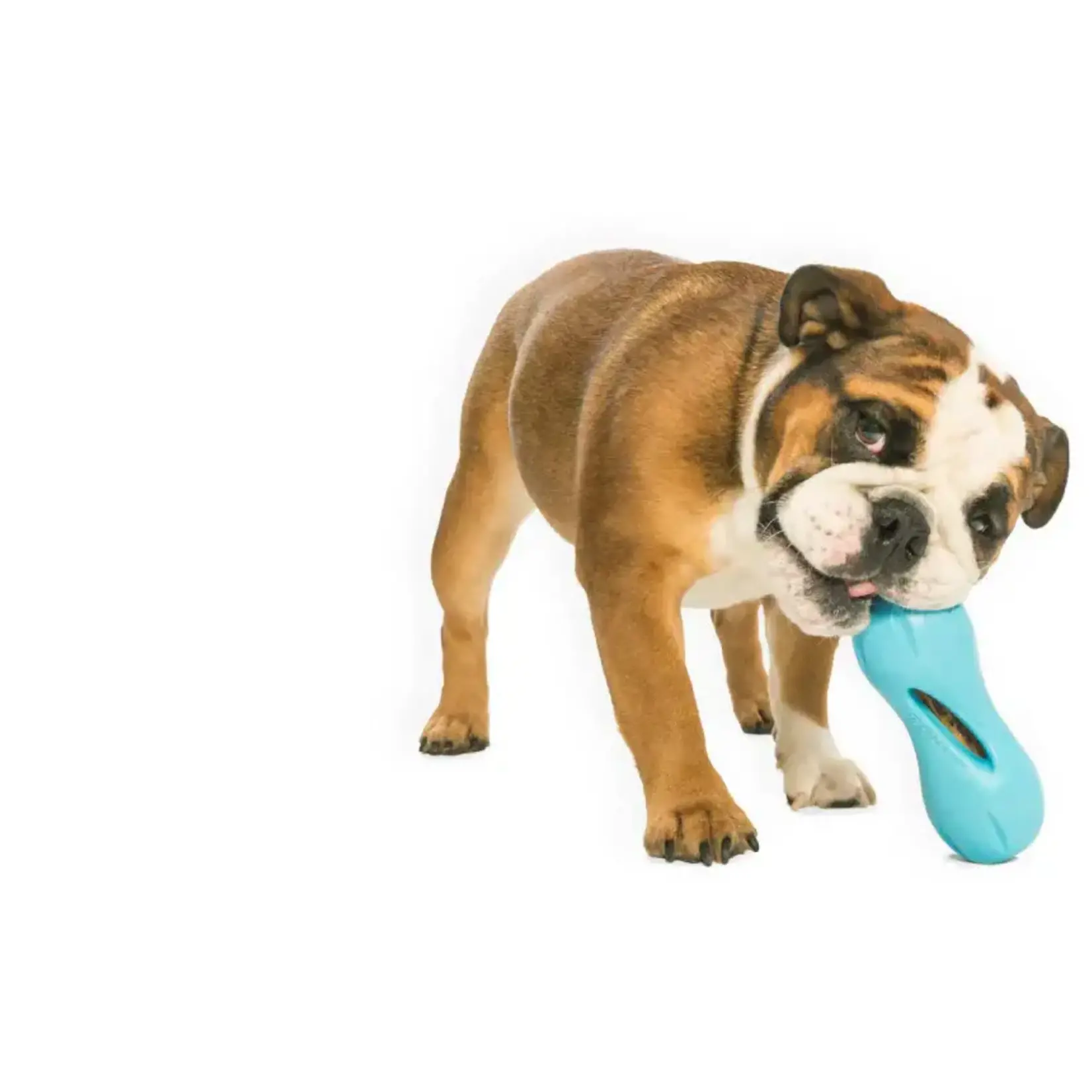 West Paw West Paw Qwizl® Treat Toy Aqua Blue Large