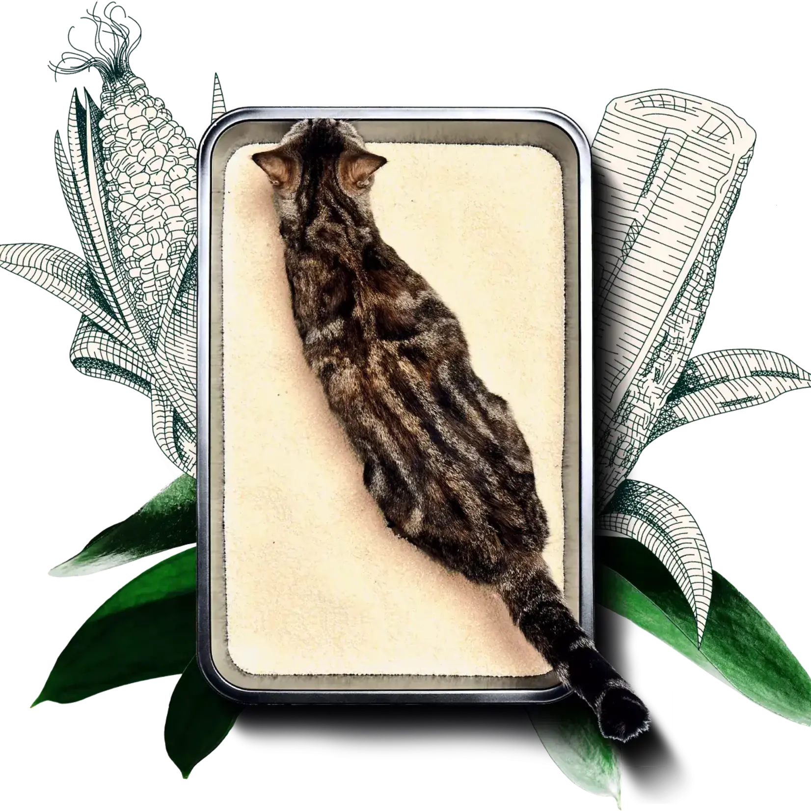 Sustainably Yours Sustainably Yours Plant-Based Cat Litter Small-Grain Formula 13#