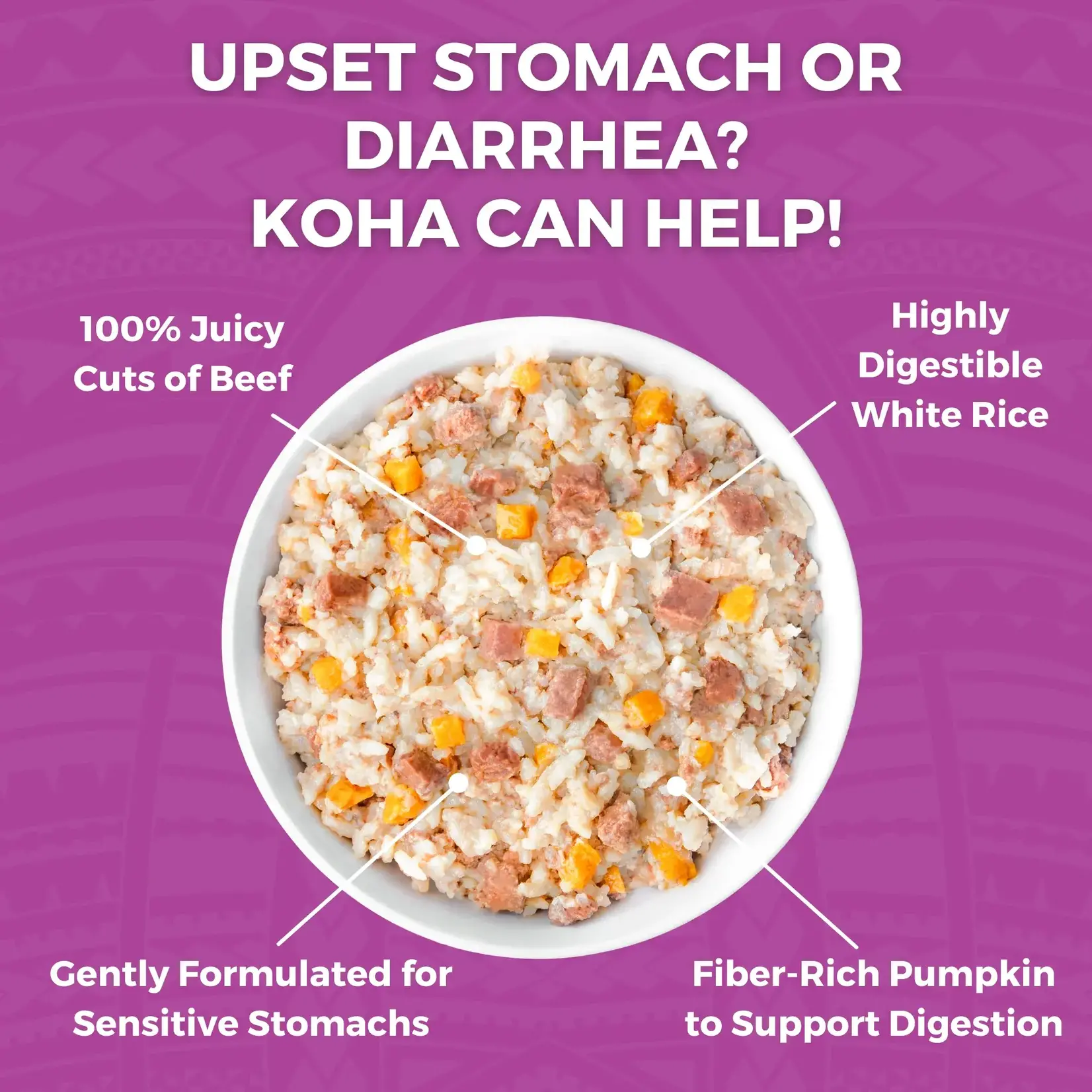 Koha Koha D Bland Diet Beef & Rice 12.5 OZ