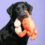 Fluff & Tuff Fluff & Tuff Phyllis Crab
