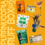 The Ruff Box, Cat Edition (PICKUP IN STORE)