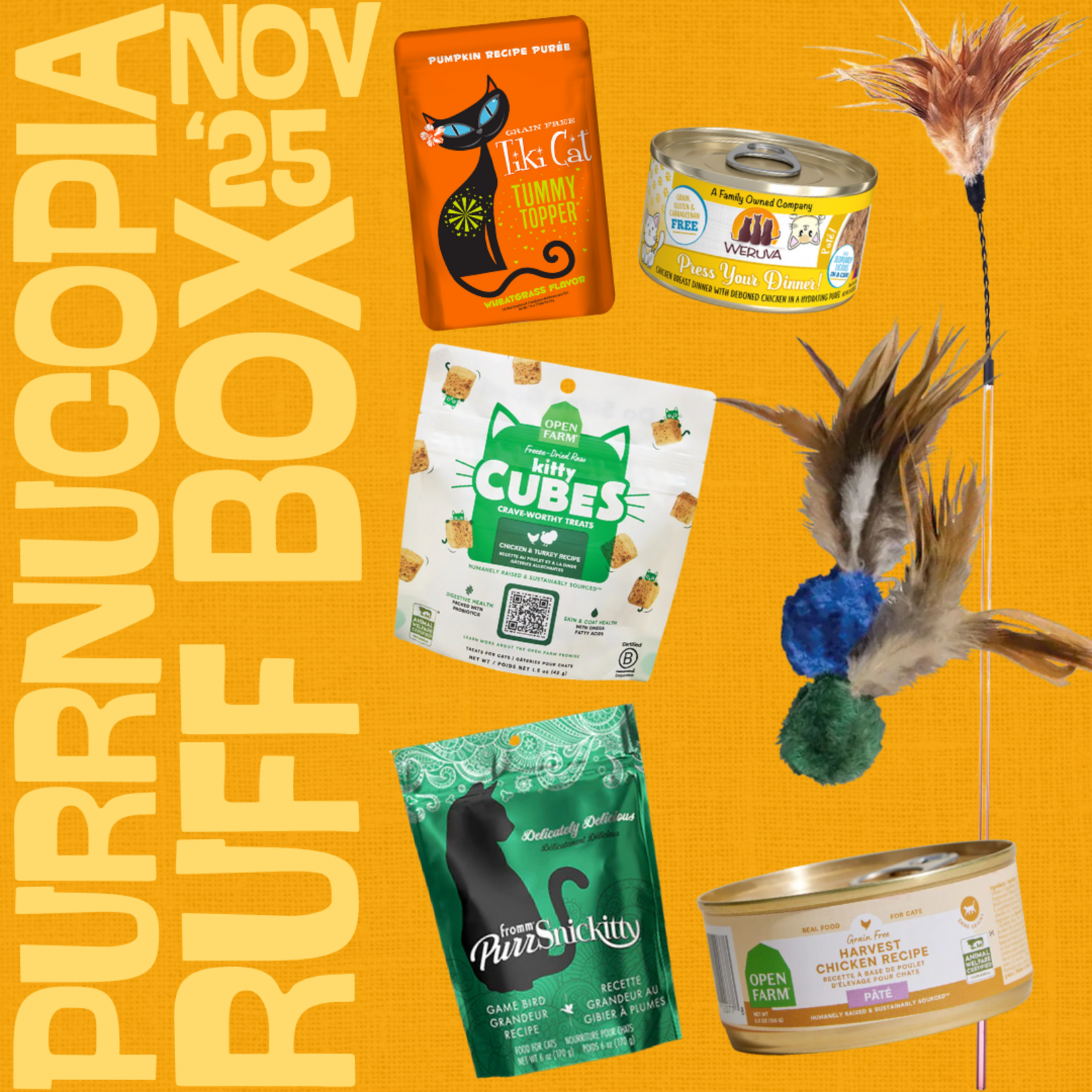 The Ruff Box, Cat Edition (PICKUP IN STORE)