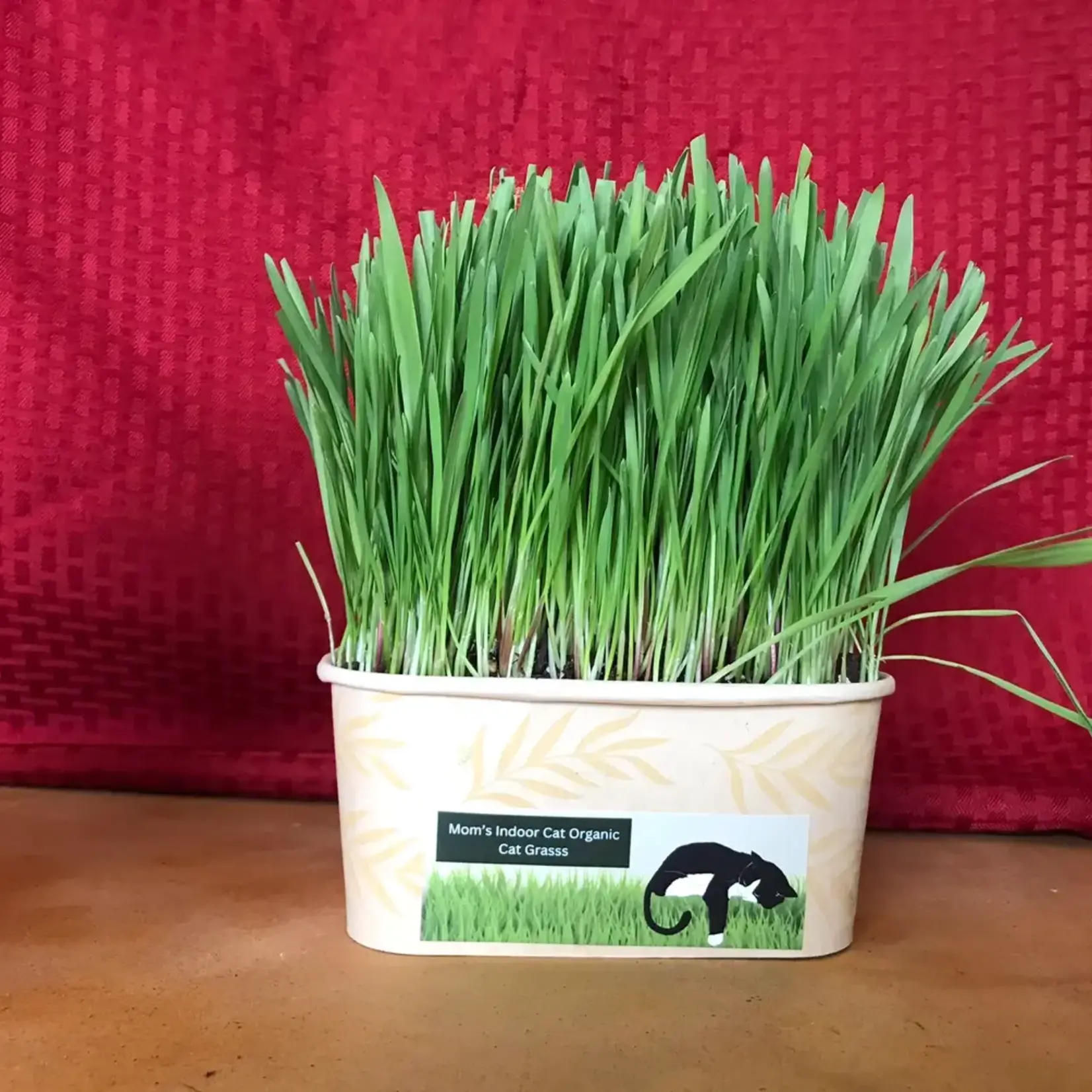 Mom's Indoor Cat Mom's Indoor Cat Grass Compostable Bowl