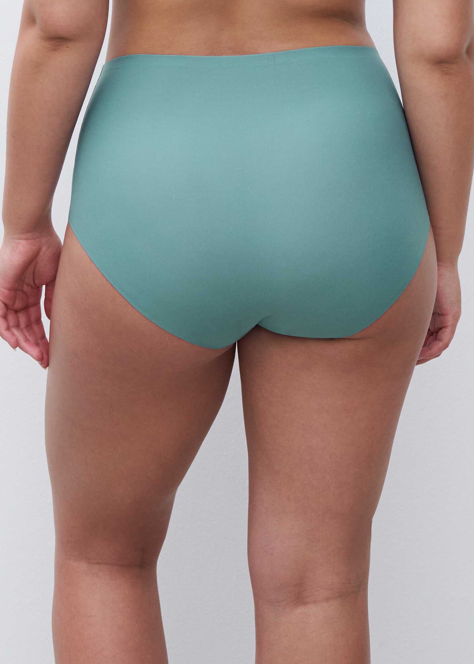 Chantelle Soft Stretch: Fashion Full Brief Plus 1137