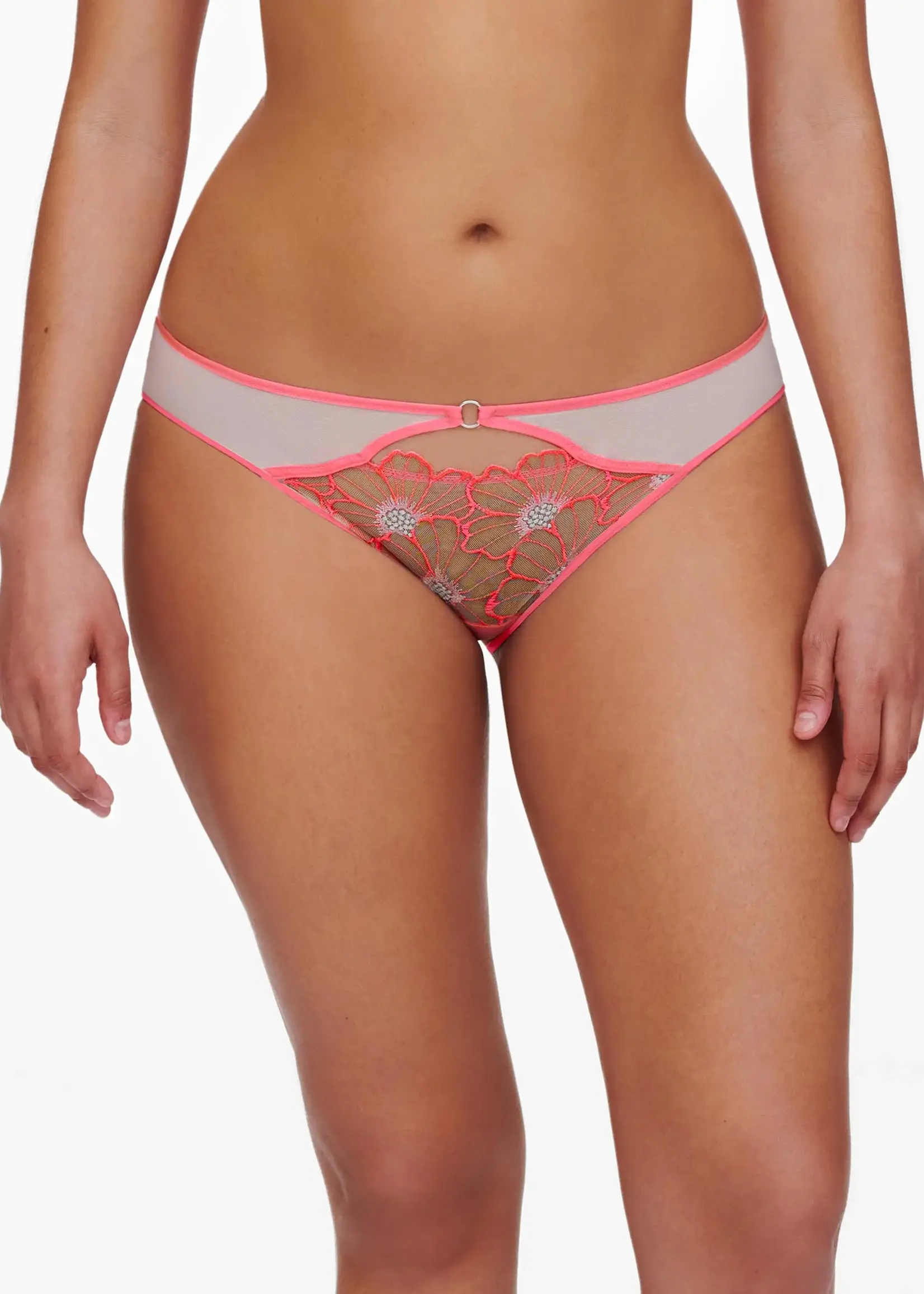 Chantelle Lush Brief C22OA0