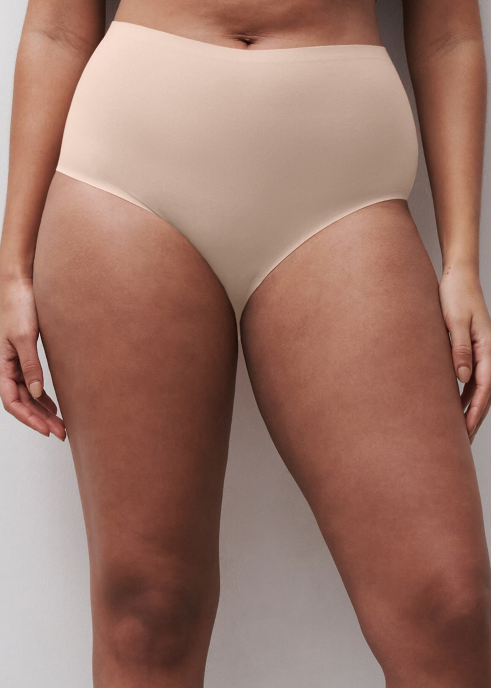 Chantelle Soft Stretch: Full Brief Plus 1137