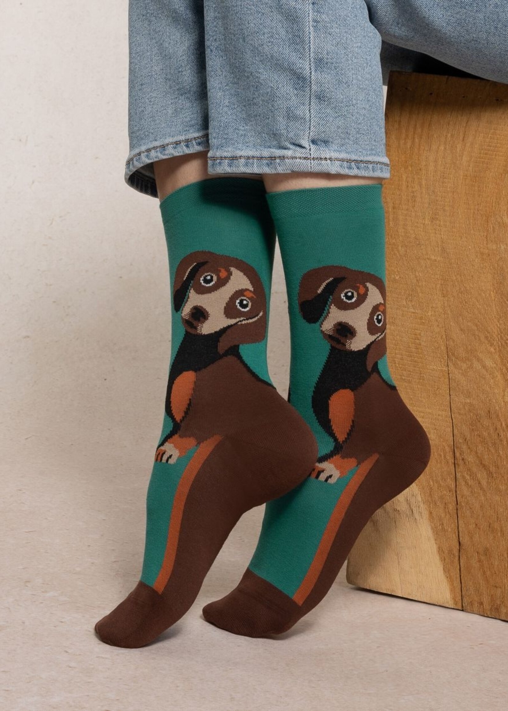 Bleuforet Cotton Dachshund Socks 6579