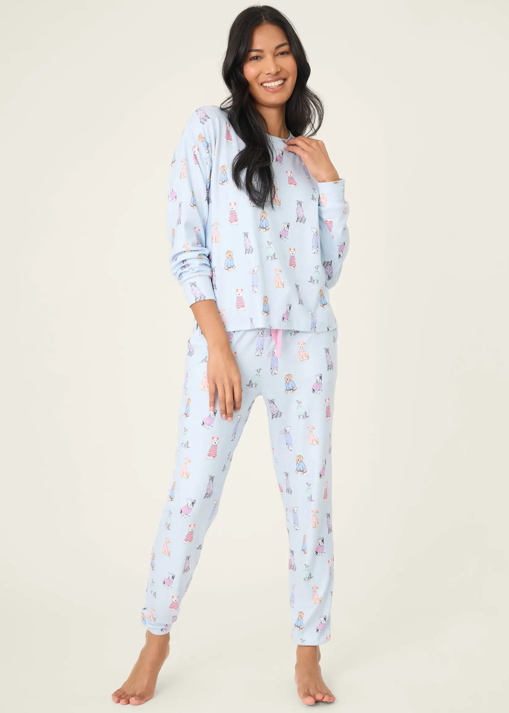 PJ Salvage Dog Gone Cold Set RUDCST