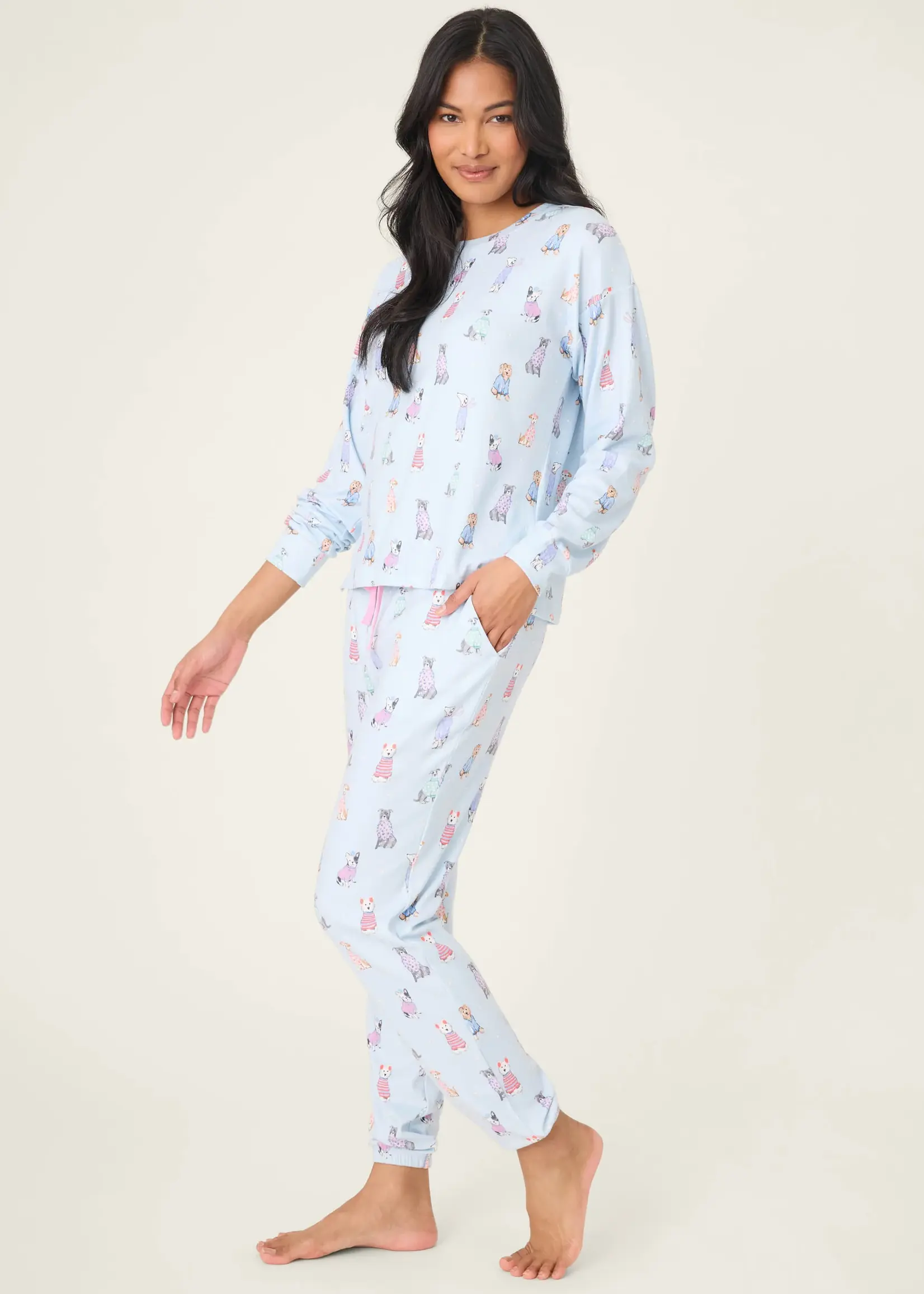 PJ Salvage Dog Gone Cold Set RUDCST