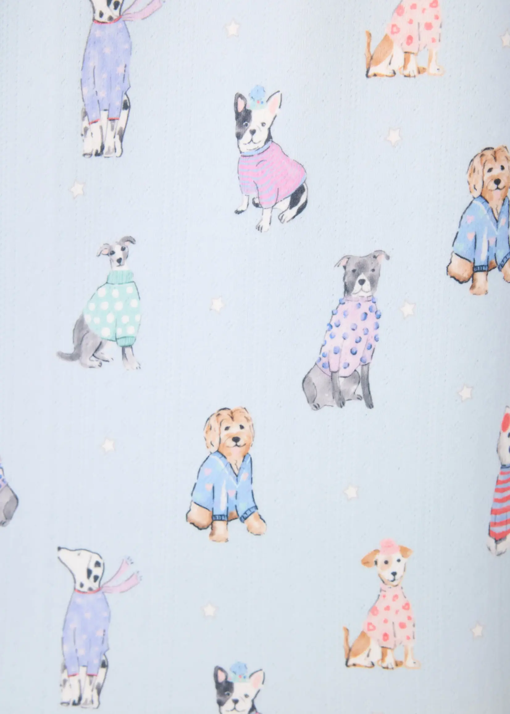 PJ Salvage Dog Gone Cold Set RUDCST