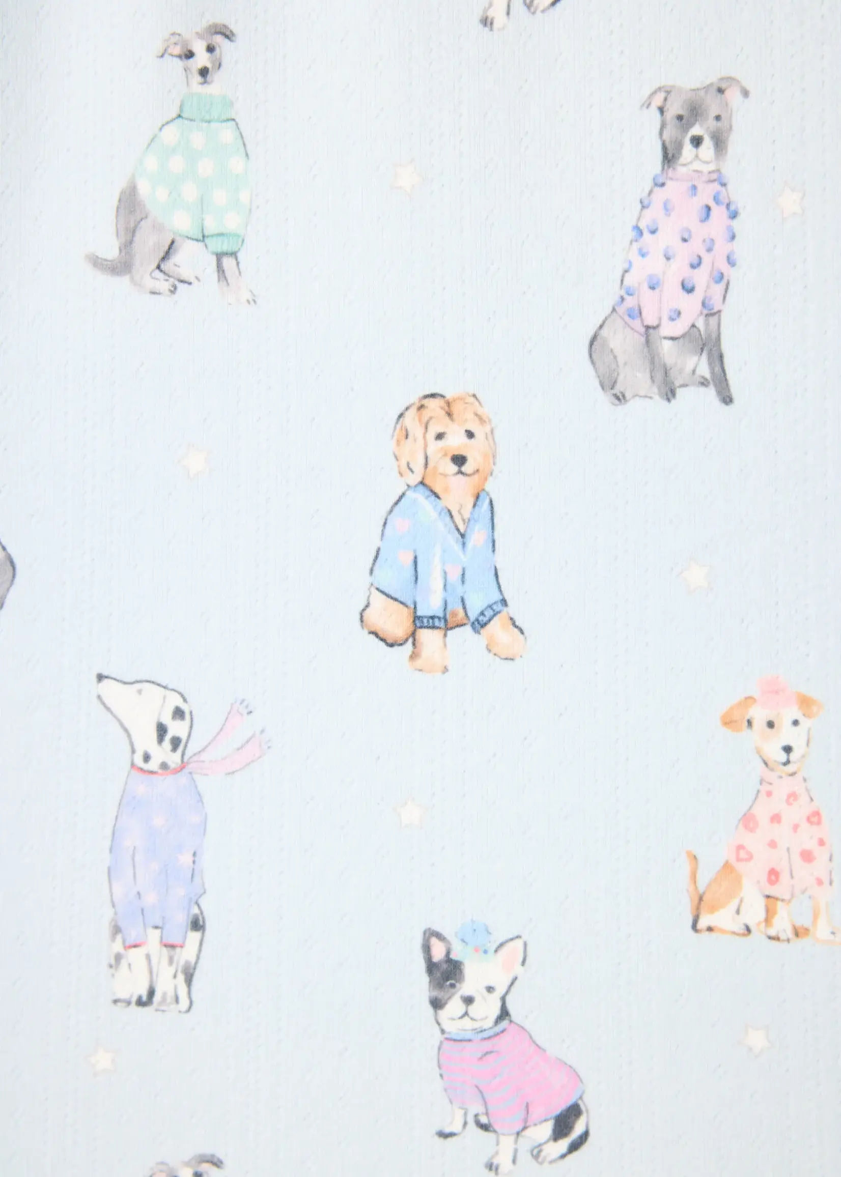 PJ Salvage Dog Gone Cold PJ Set RUDCPJ