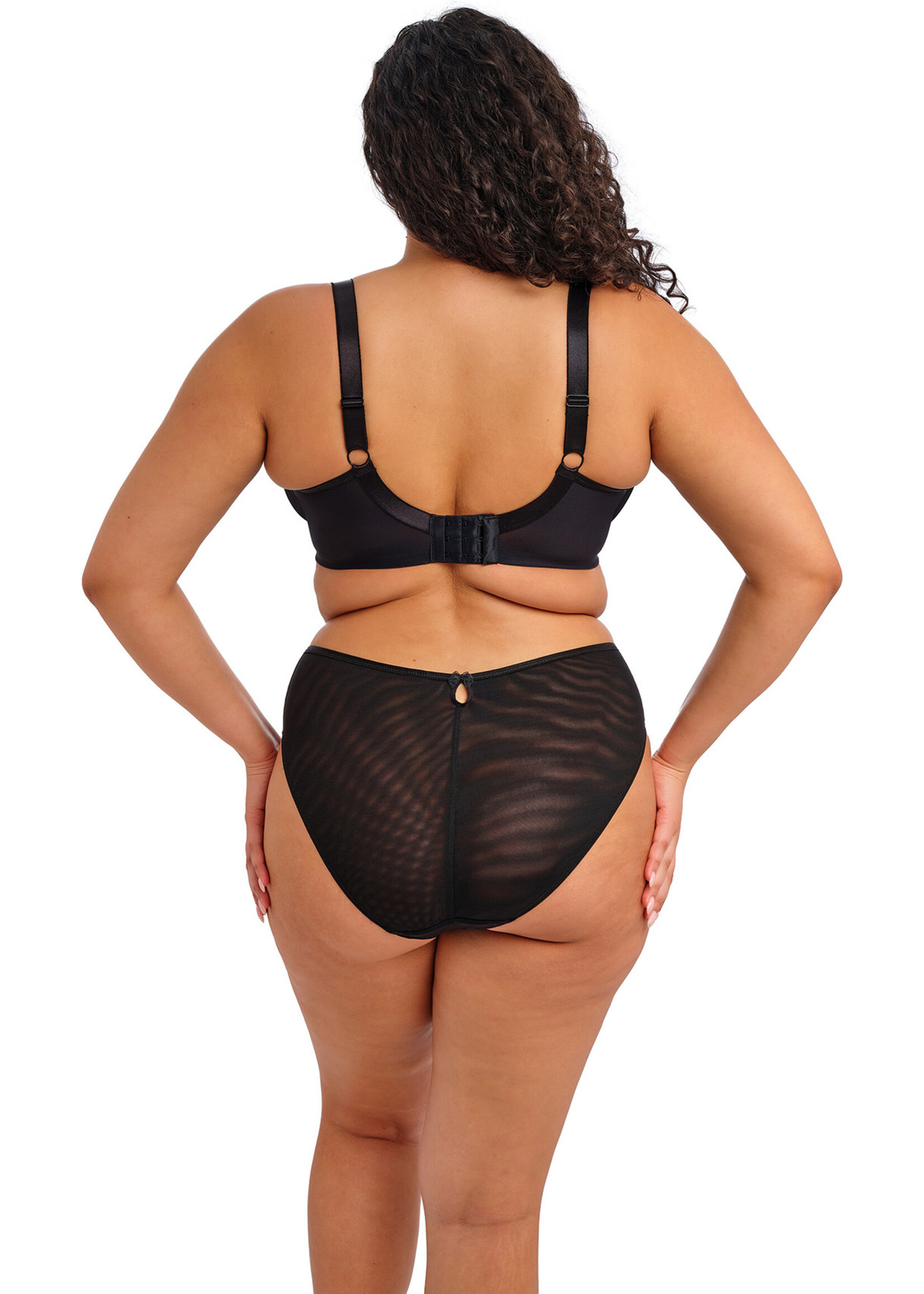 Elomi Teagan High Leg Brief EL302653