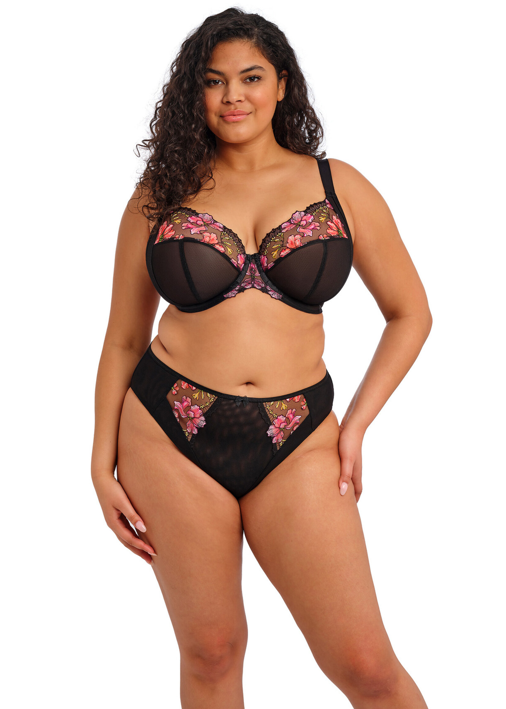 Elomi Teagan High Leg Brief EL302653