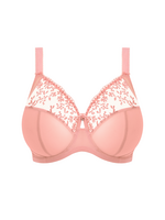 Elomi Zarla Fashion Full Cup Bra