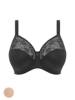 Elomi Morgan Solid Full Cup Bra