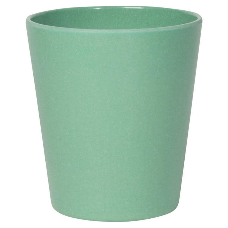 Now Designs Planta Fiesta, Cups, Set of 4