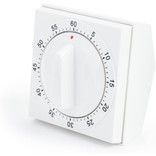 Fox Run Square Timer