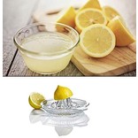 Trudeau Glass Citrus Juicer