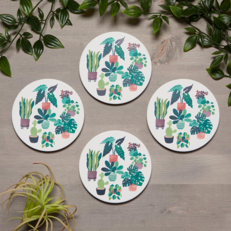 Danica Soak Up Coaster, Let it Grow, set of 4