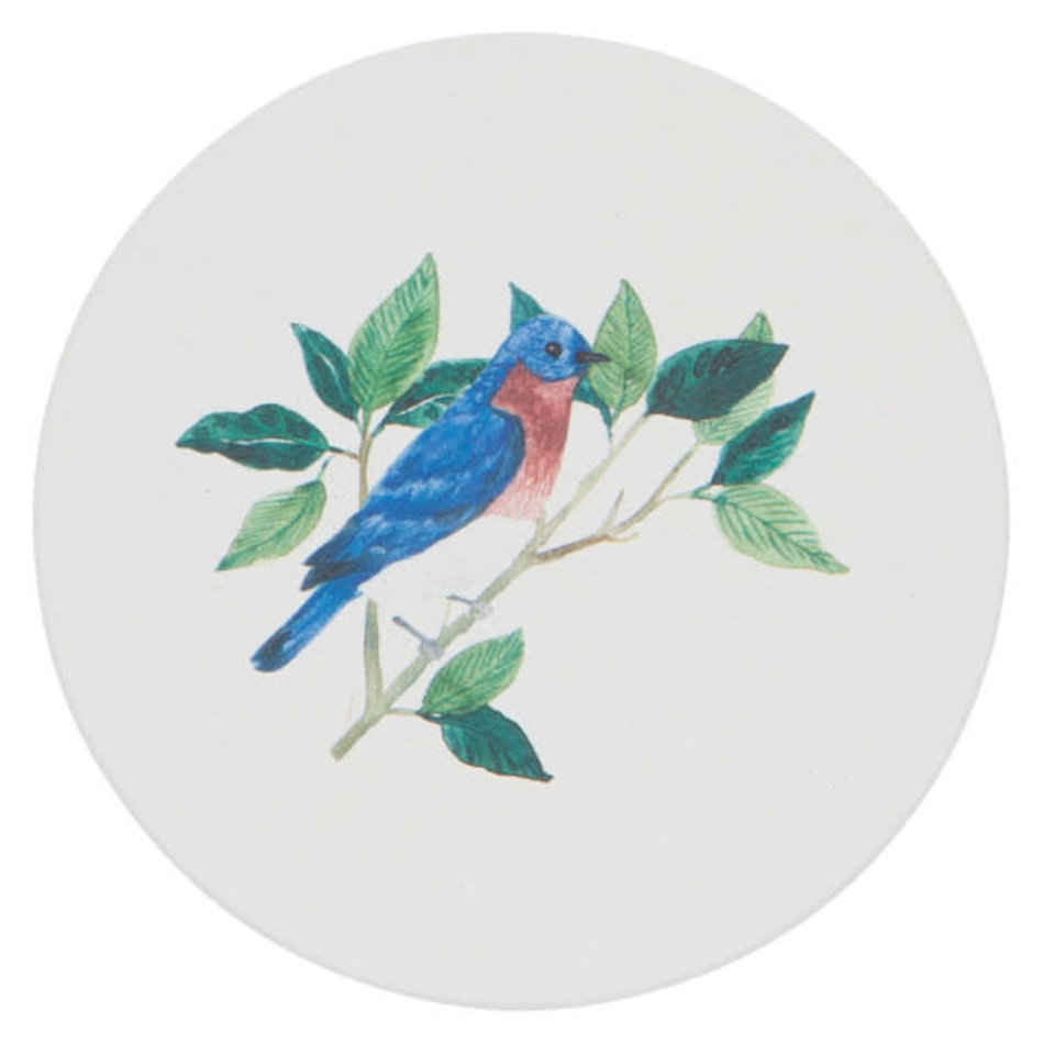 Danica Soak Up Coaster, Birdsong, set of 4