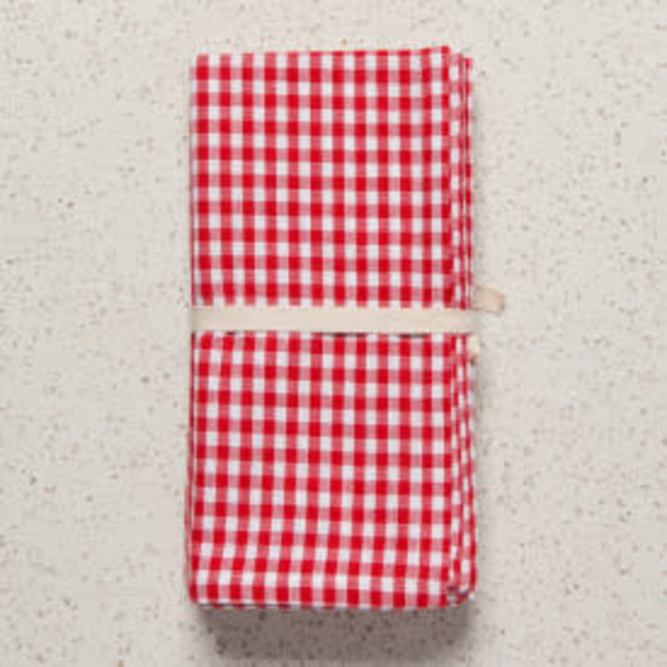 Danica Second Spin Red Gingham Napkins, set of 4