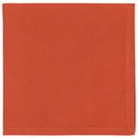 Now Designs Spectrum Napkins, set of 4, Rust