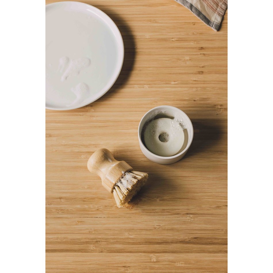 Dish Brush and Soap Set of 3