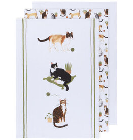 Danica Cat Collective Bakers Floursack Dishtowels Set of