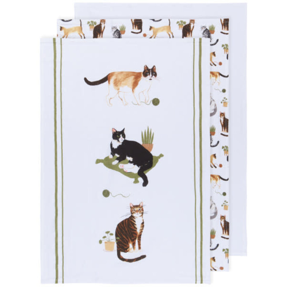 Danica Cat Collective Bakers Floursack Dishtowels Set of