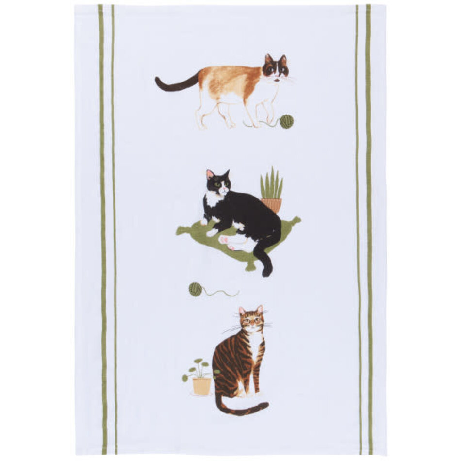 Danica Cat Collective Bakers Floursack Dishtowels Set of