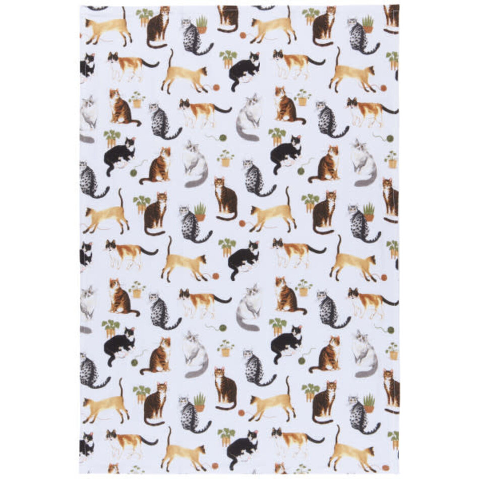 Danica Cat Collective Bakers Floursack Dishtowels Set of