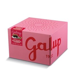 Galup Panettone with Peach, Amaretto & Chocolate, 750g Galup Panettone with Peach, Amaretto & Chocolate, 750g