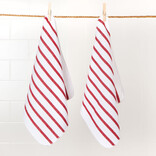 Danica Basketweave Red Dishcloths Set of 2