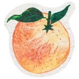Danica Locally Grown Sponge