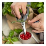 Kuhn Rikon Kuhn Rikon Kitchen Shears Compact