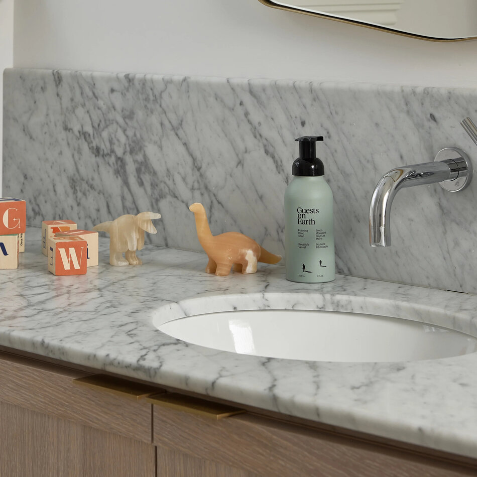 Guests on Earth Guests on Earth Hand Soap, Citrus Oasis