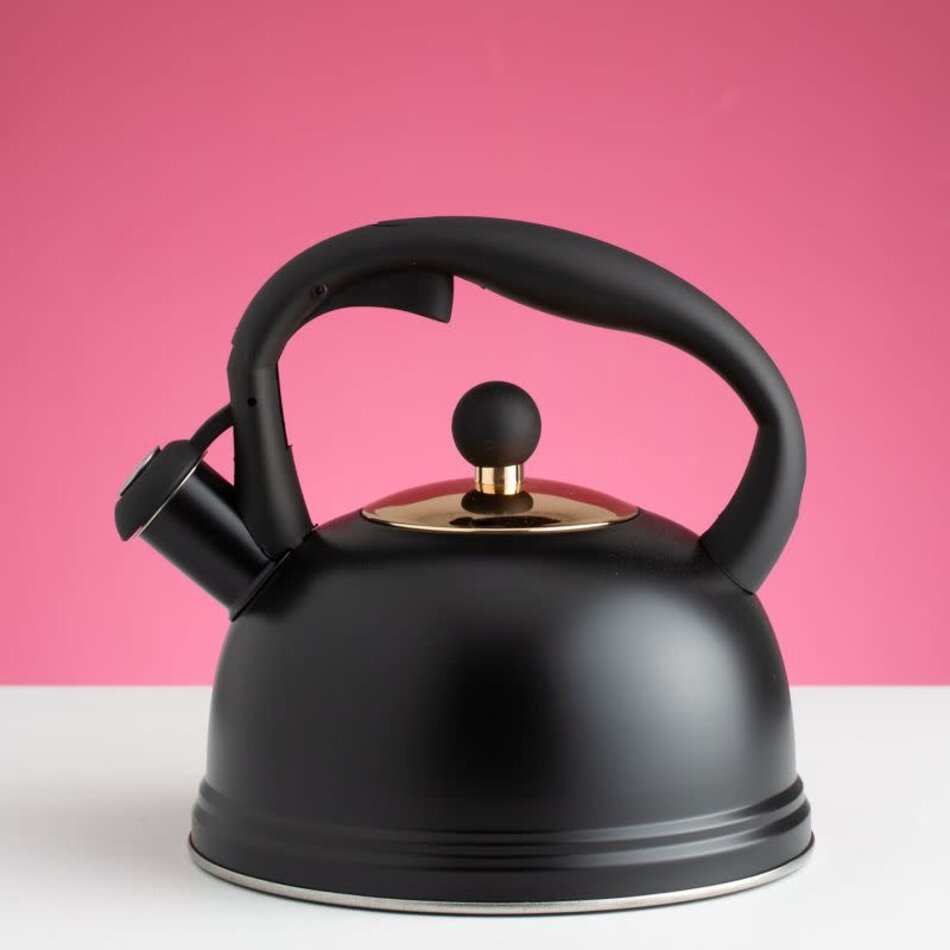 Typhoon Typhoon OTTO Whistling Kettle, Black