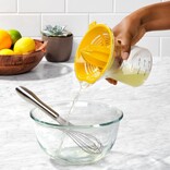 Danesco OXO Large 2-in-1 Juicer