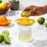 Danesco OXO Large 2-in-1 Juicer
