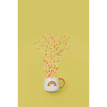 Danica Love is Love Mug