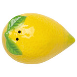 Danica Citrus Burst Salt and Pepper Shakers