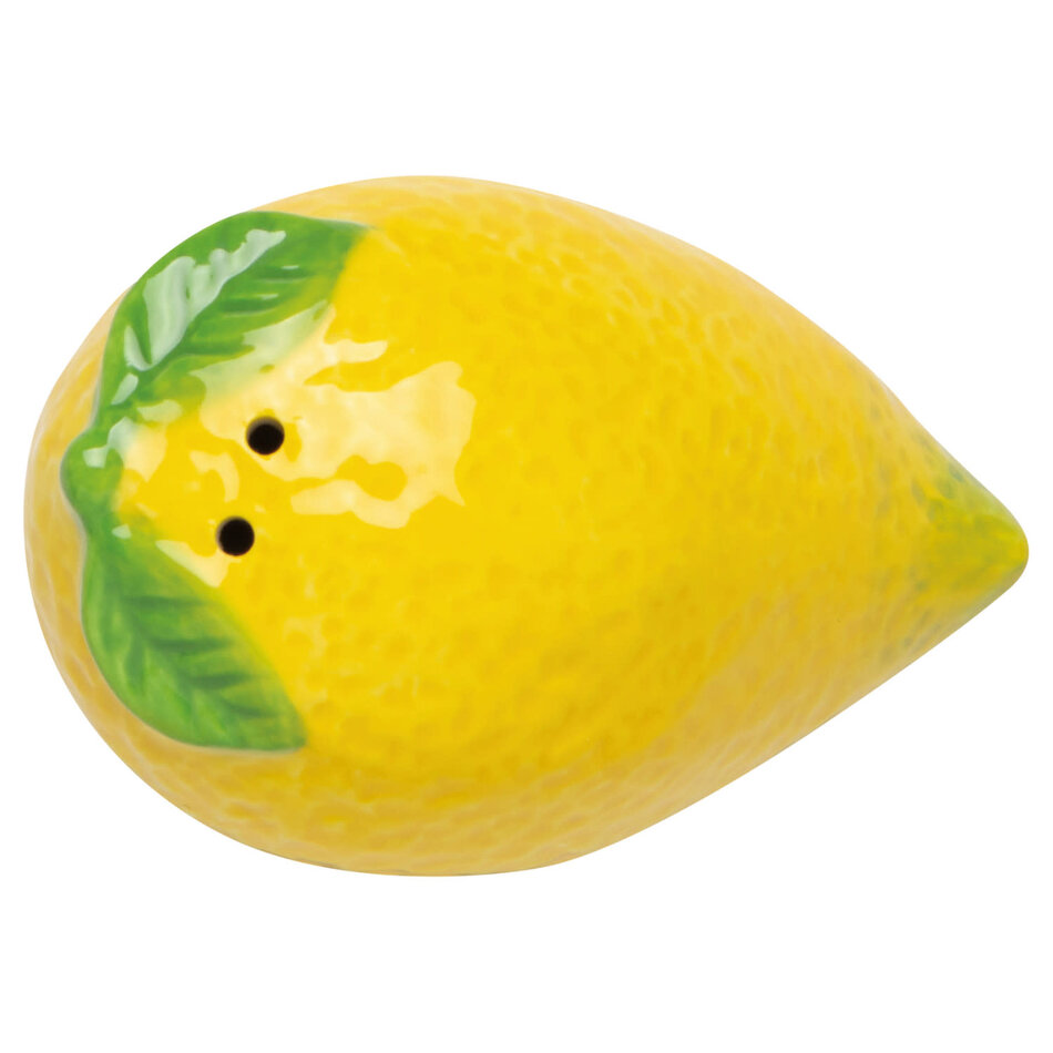 Danica Citrus Burst Salt and Pepper Shakers