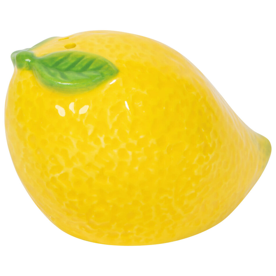 Danica Citrus Burst Salt and Pepper Shakers