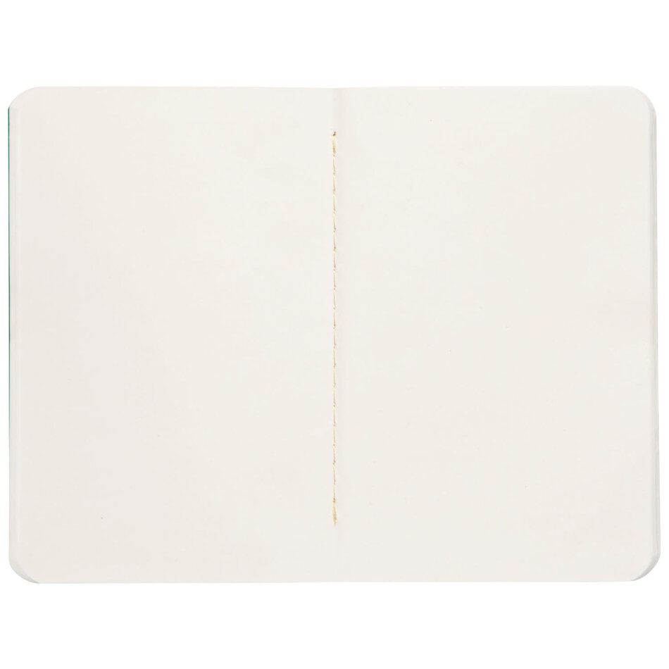 Danica Ribbit Pocket Notebooks Set of 2