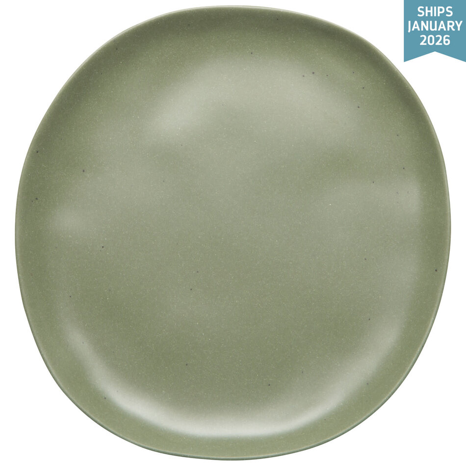 Danica Fresco Melamine Dinner Plate - Moss