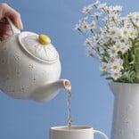 Price and Kensington Daisy 6-Cup Teapot, 1.1L