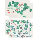 Danica Berry Bramble Pop Up Sponges Set of 4 Assorted