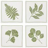Danica Fern & Frond Soak Up Coasters Set of 4