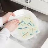 Swedish Dishcloth, Dragonfly